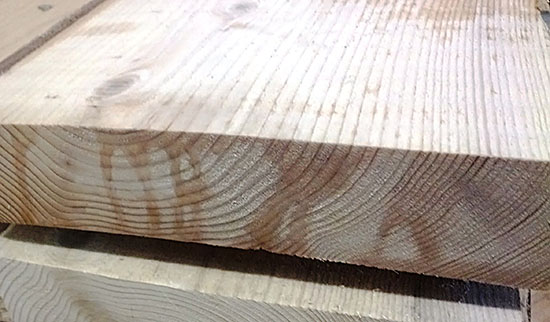 Izgled poprečnog preseka zaleđene građe jele