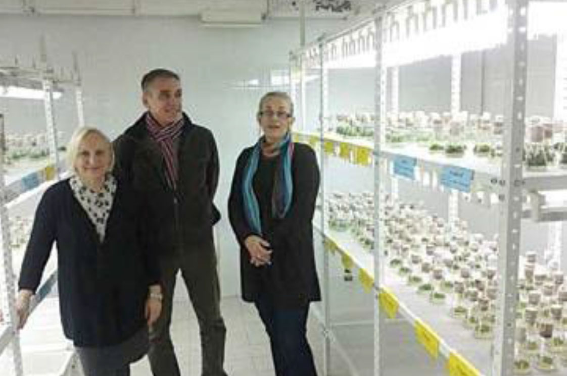 Planto – u tesnoj saradnji sa Institutom za voćarstvo u Čačku