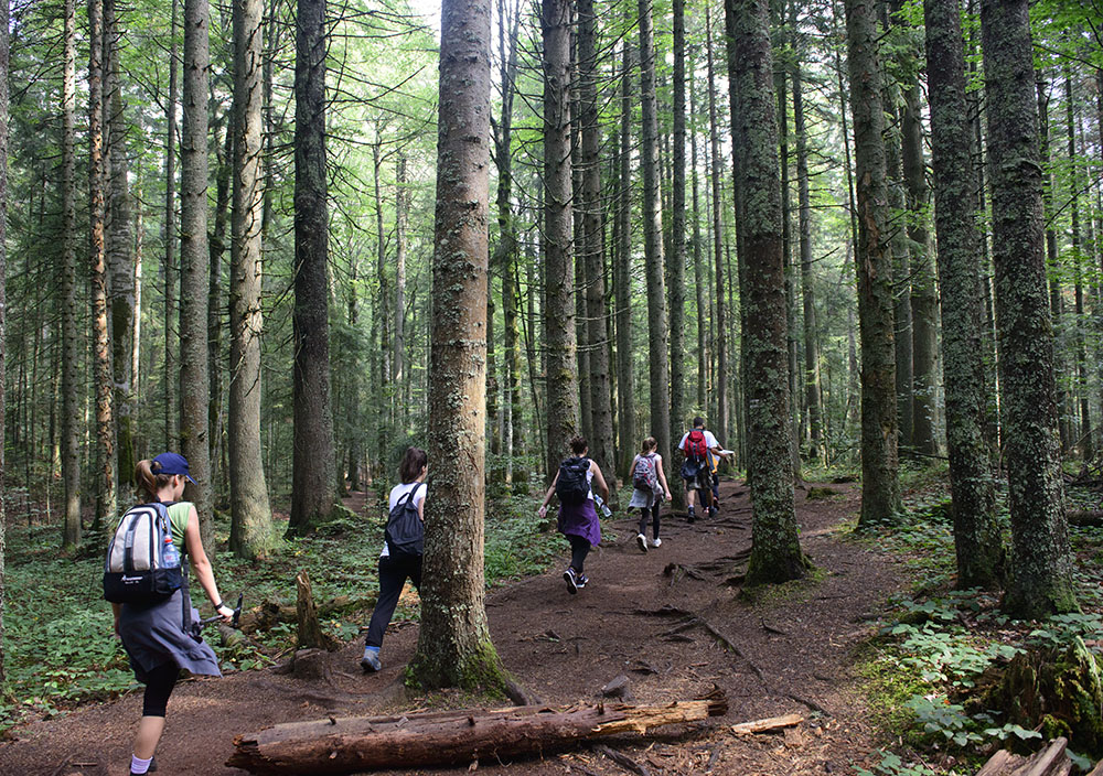 Eko kamp, foto: Dmitry Sharomov