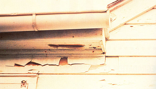 Propadanje pigmentiranih premaza zbog spoljašnjeg vlaženja