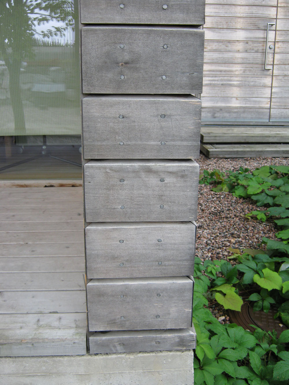 Sivljenje drveta kao posledica vederinga