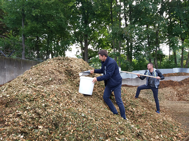 Kvalitet drvne sečke