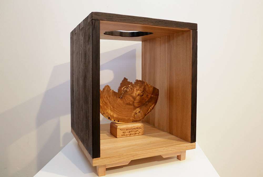 3. „The Life“ rad učenika Gorajski Čanada (Garajszki Csanád) iz Mađarske.